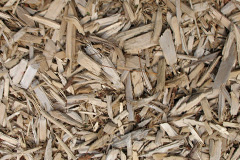 biomass boilers Stronaba